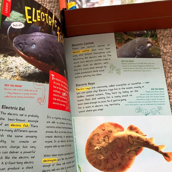 KiwiCo Tinker Crate Paper Canon & Paper Circuits 2 box set Educational Toy STEM - Picture 8 of 9